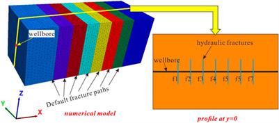 Influence of the bedding plane on the propagation of multiple hydraulic fractures